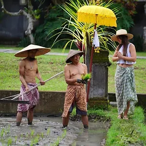 Umae , Ubud Indonesien